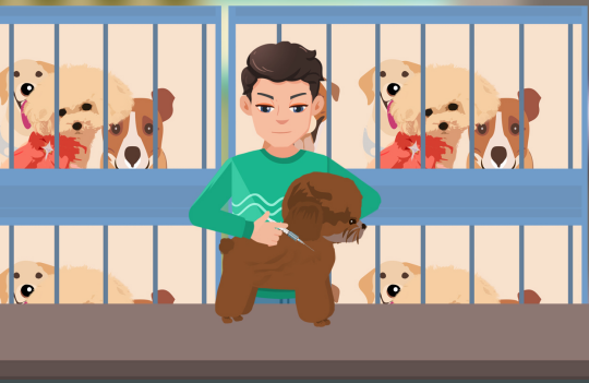 宠物医生求职简历制作技巧