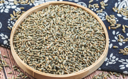 农业技术员求职简历教育背景部分应该重点展示什么