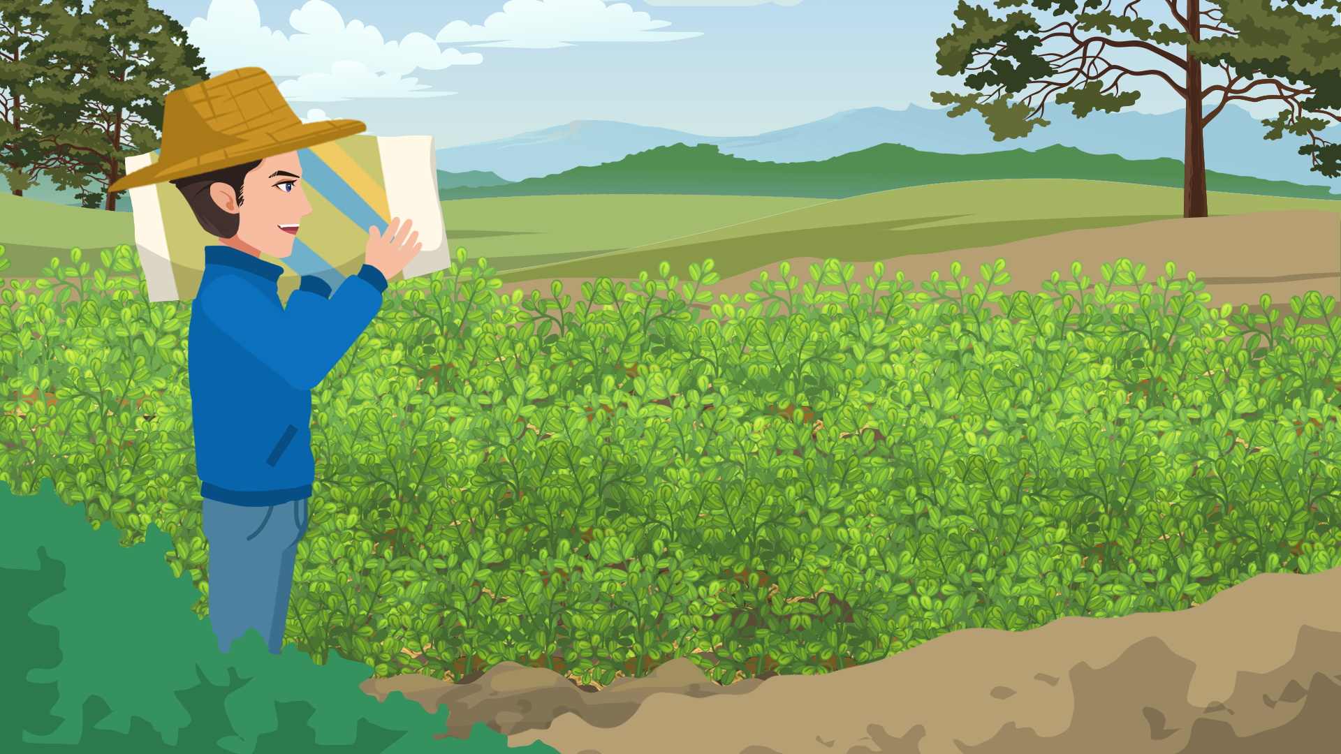 种植技术员的重要性