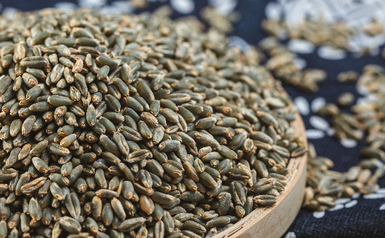 农业生物技术专业求职者怎样写好技能特长