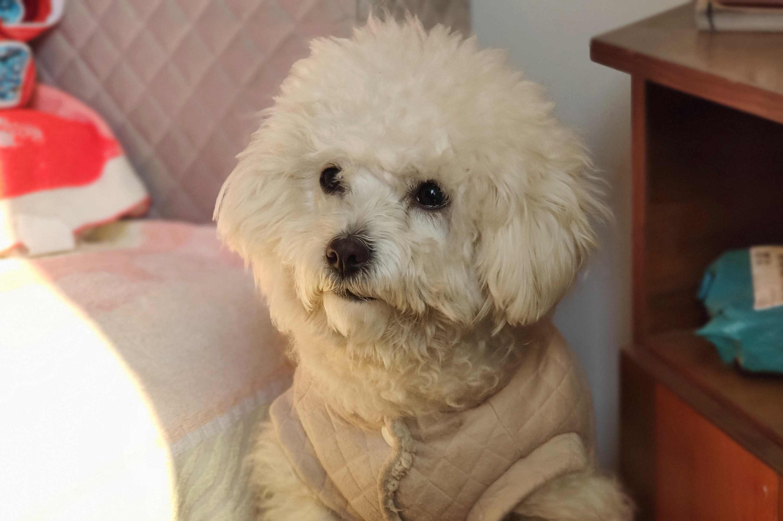 ​数值策划这一职业的重点内容与未来发展