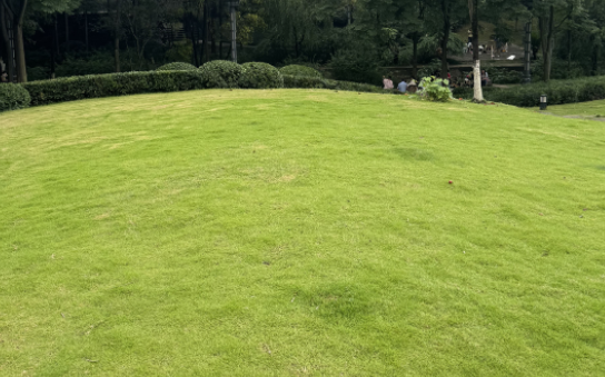 草坪科学与工程专业求职者编写项目经验时要注意什么