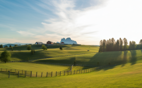 智慧牧业科学与工程专业求职者编写项目经验的重点