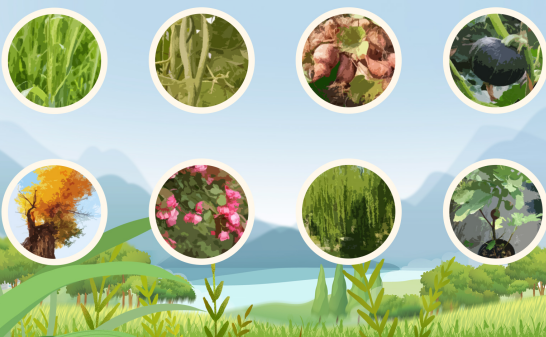 农业资源与环境专业求职者编写技能特长时要注意什么