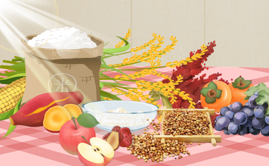 粮食工程专业求职者写好项目经验的技巧